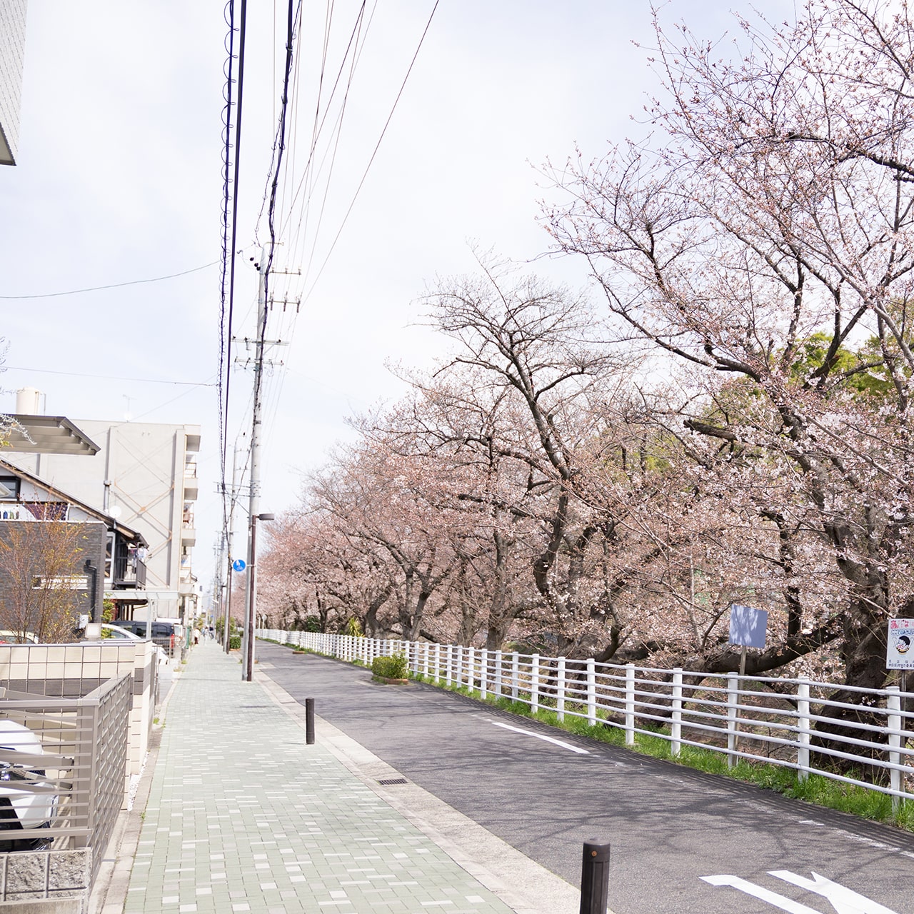 住みだしてからの イメージがしやすい